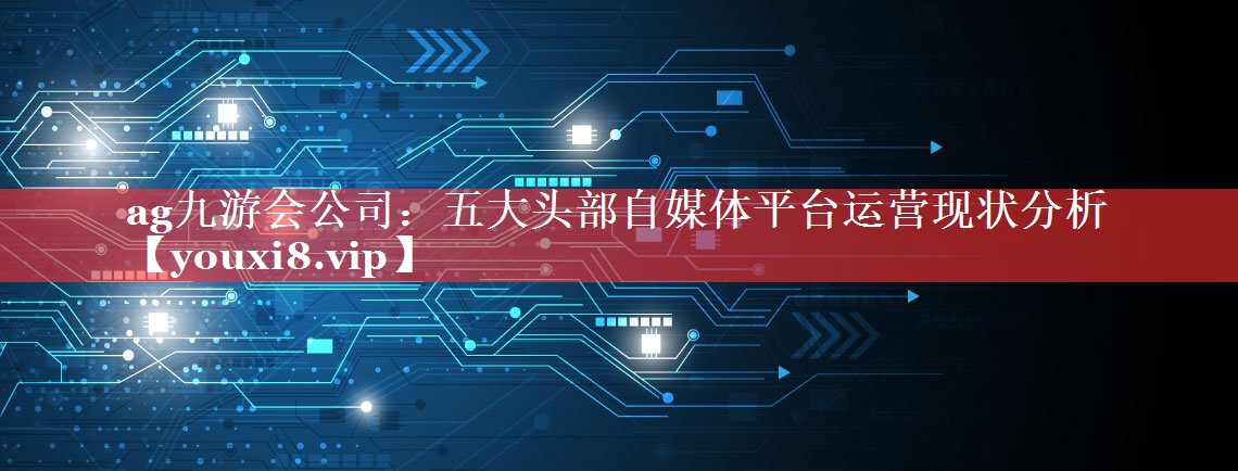 五大头部自媒体平台运营现状分析