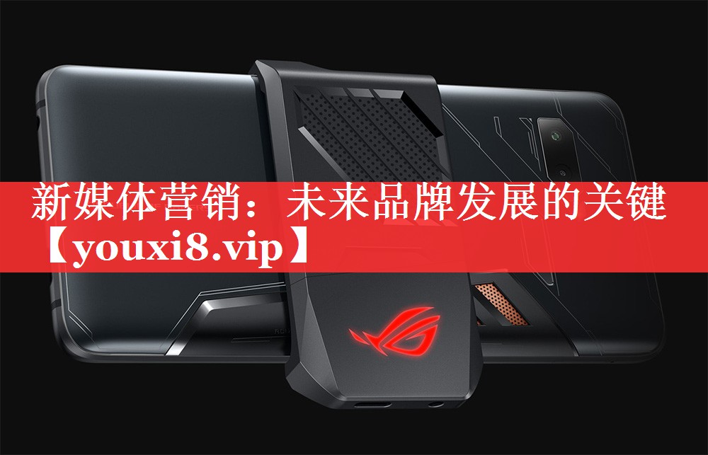 新媒体营销：未来品牌发展的关键
